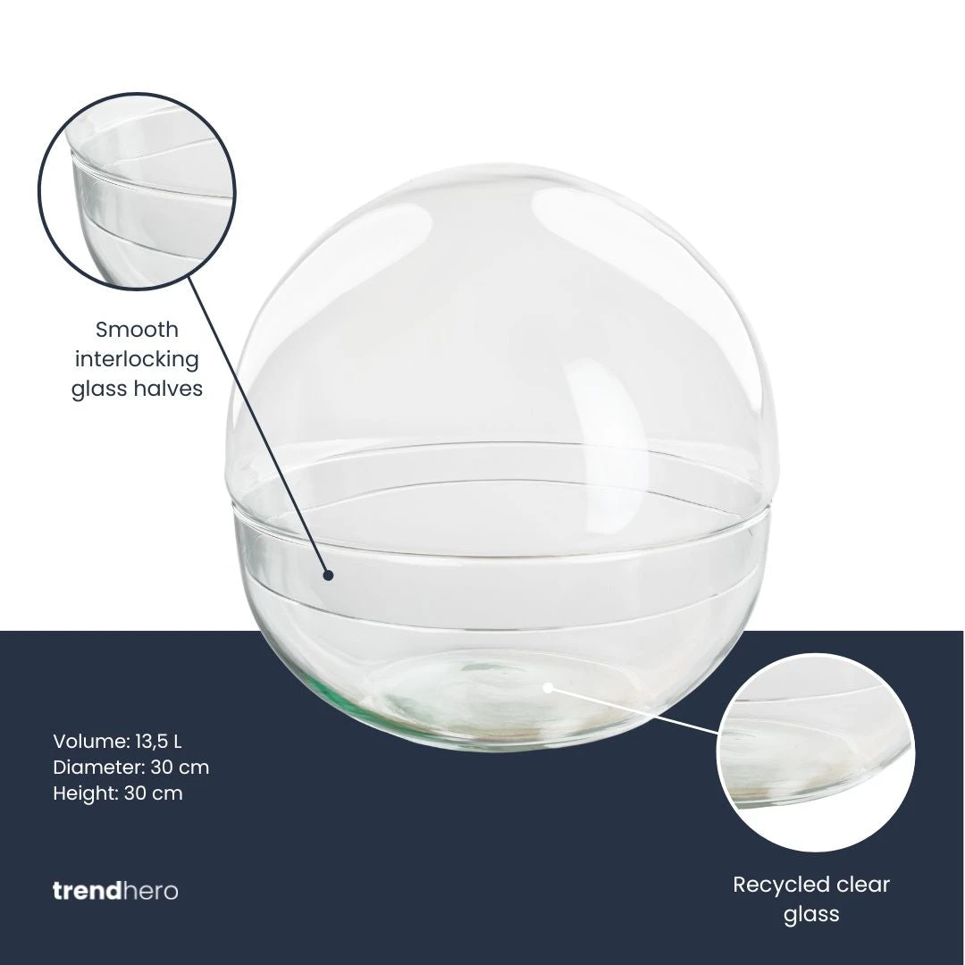 Terrarium Bottle ‘Dome XL’ – Two-part Round Glass – Closed Terrarium Ø 28 Cm ↑ 28 Cm 4 Terrarium Bottle ‘Dome XL’ – Two-part Round Glass – Closed Terrarium Ø 28 Cm ↑ 28 Cm - Image 2