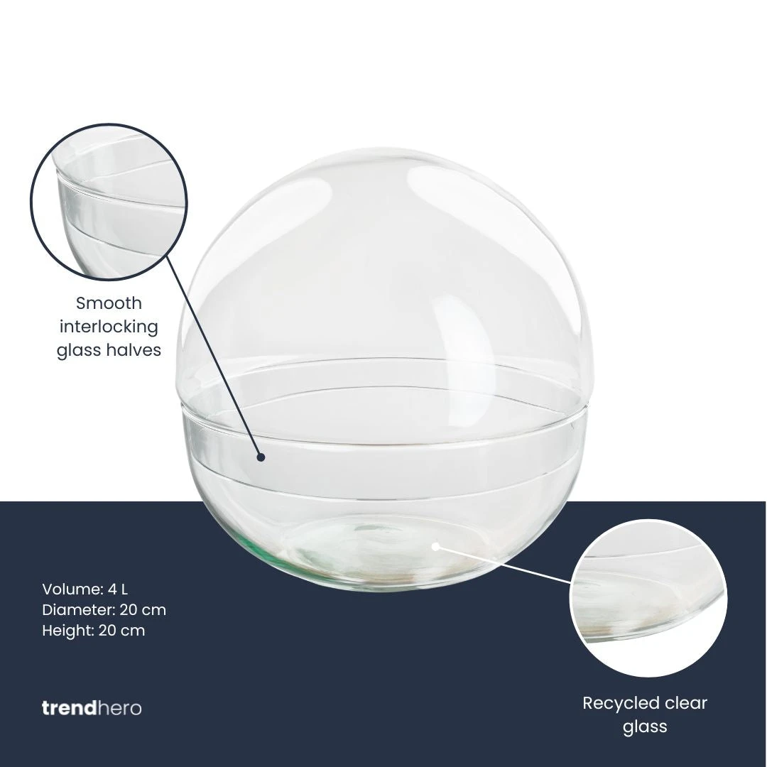 Terrarium Bottle ‘Dome’ – Two-part Round Glass – Closed Terrarium Ø 20 Cm ↑ 20 Cm 4 Terrarium Bottle ‘Dome’ – Two-part Round Glass – Closed Terrarium Ø 20 Cm ↑ 20 Cm - Image 2