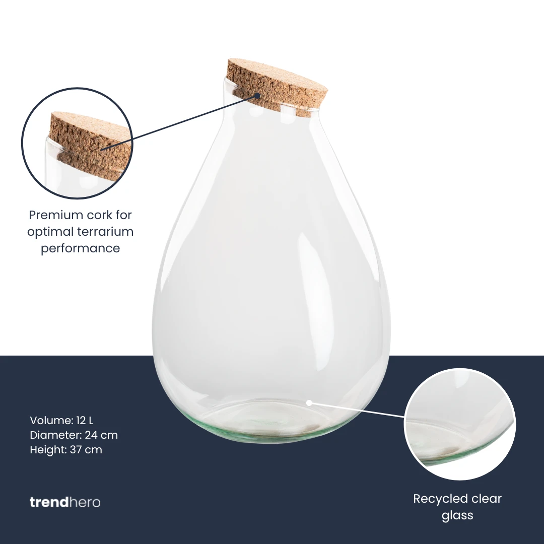 Terrarium Bottle 'Drop XL' With Cork - Closed Terrarium Ø 29 Cm ↑ 37 Cm 4 Terrarium Bottle 'Drop XL' With Cork - Closed Terrarium Ø 29 Cm ↑ 37 Cm - Image 2