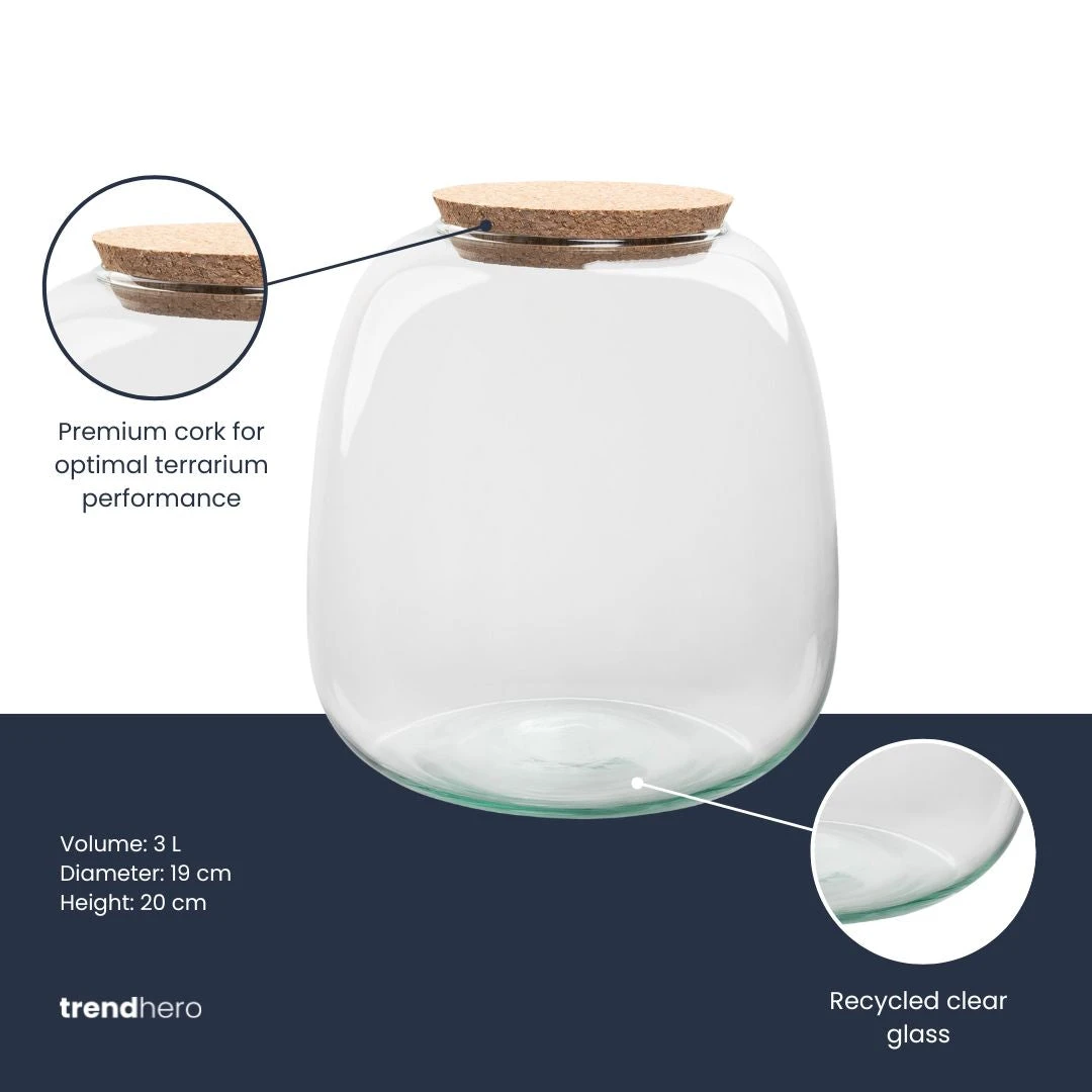 Terrarium Bottle ‘Emma Mini’ With Cork - Closed Terrarium Ø 19 Cm ↑ 20 Cm 4 Terrarium Bottle ‘Emma Mini’ With Cork - Closed Terrarium Ø 19 Cm ↑ 20 Cm - Image 2