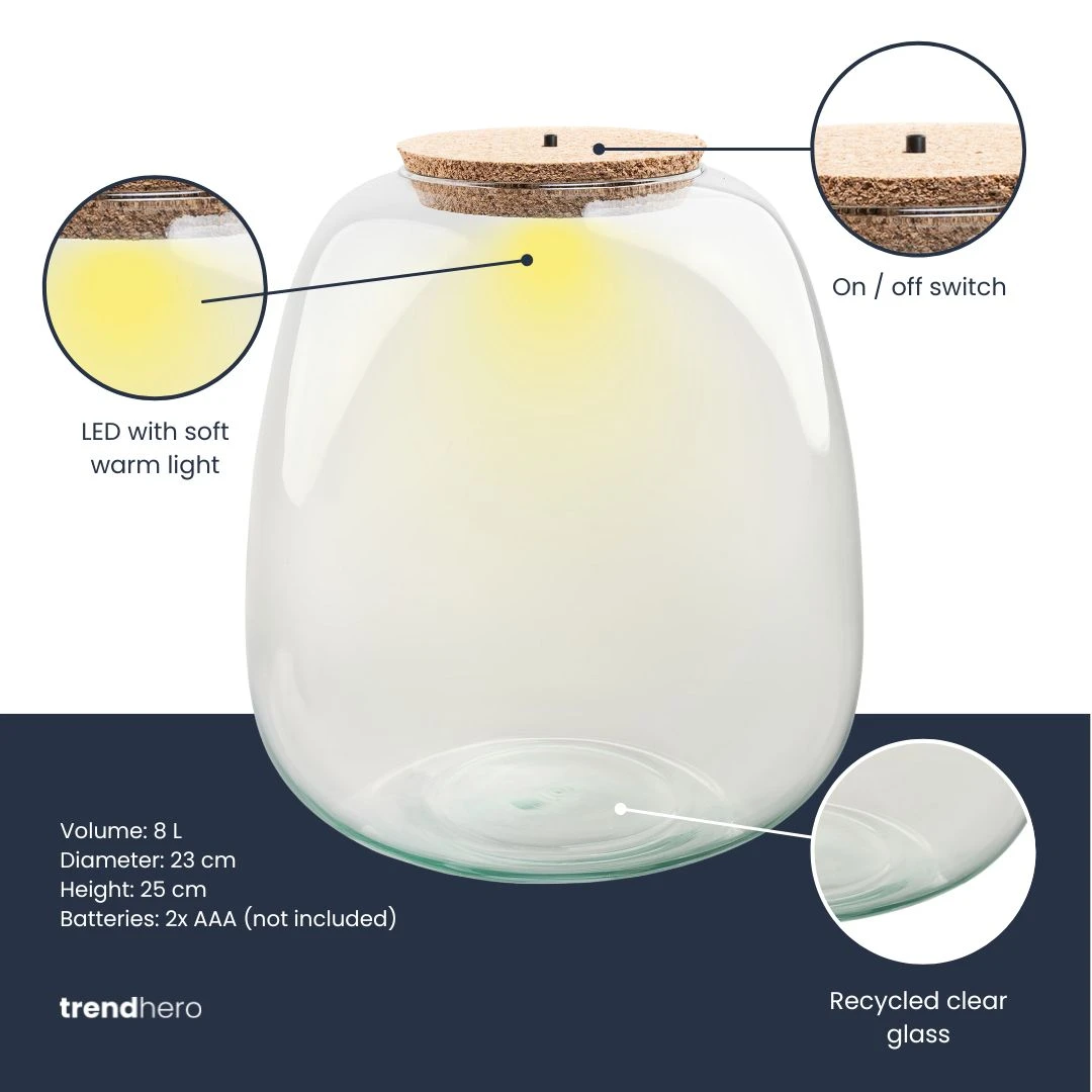 Terrarium Bottle ‘Emma' - Incl. LED Cork - Closed Terrarium Ø 23 Cm ↑ 25 Cm 4 Terrarium Bottle ‘Emma' - Incl. LED Cork - Closed Terrarium Ø 23 Cm ↑ 25 Cm - Image 2