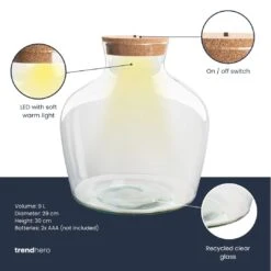 Terrarium Bottle 'Fat Joe' - Incl. LED Cork - Closed Terrarium Ø 29 Cm ↑ 30 Cm -Optimal Glass Plant Shop Terrarium fles trendhero fat joe
