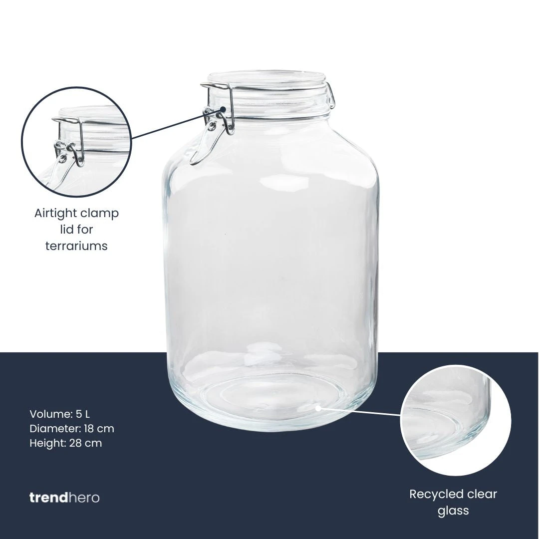 Terrarium Bottle ‘Fido' - Closed Weck Jar - Ø 18 Cm ↑ 28 Cm 4 Terrarium Bottle ‘Fido' - Closed Weck Jar - Ø 18 Cm ↑ 28 Cm - Image 2