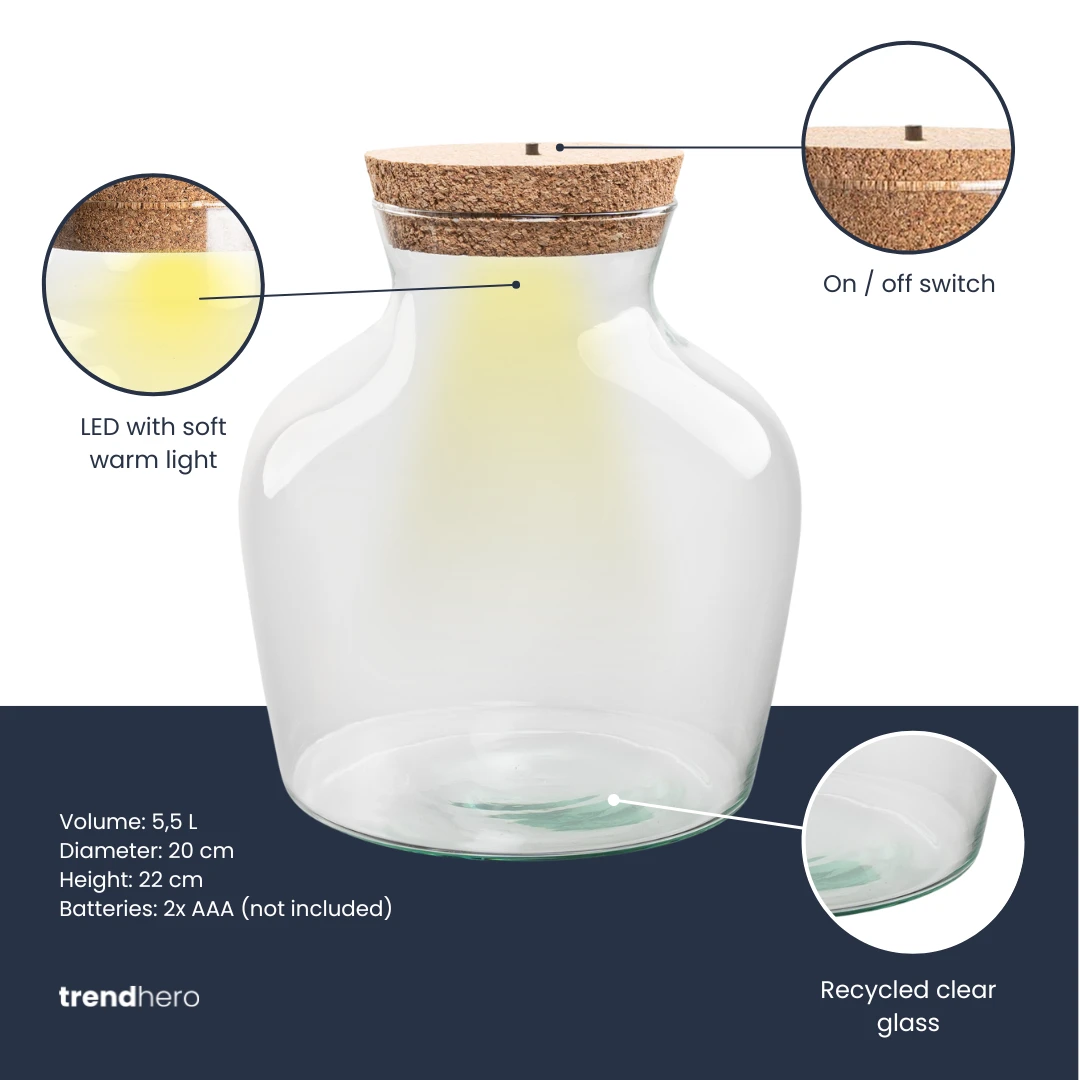 Terrarium Bottle 'Little Joe' - Incl. LED Cork - Closed Terrarium Ø 20 Cm ↑ 22 Cm 5 Terrarium Bottle 'Little Joe' - Incl. LED Cork - Closed Terrarium Ø 20 Cm ↑ 22 Cm - Image 3