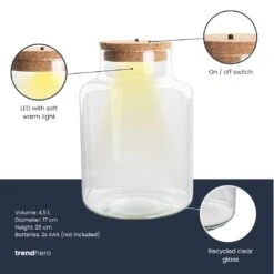 Terrarium Bottle 'Little Milky' - Incl. LED Cork - Closed Terrarium Ø 17 Cm ↑ 25 Cm 8 Terrarium Bottle 'Little Milky' - Incl. LED Cork - Closed Terrarium Ø 17 Cm ↑ 25 Cm -Optimal Glass Plant Shop Terrarium fles trendhero little milky