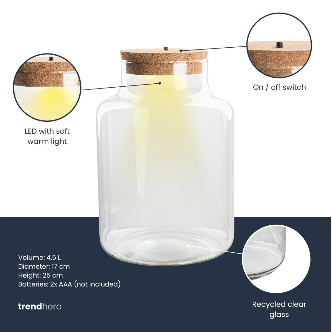 Terrarium Bottle 'Little Milky' - Incl. LED Cork - Closed Terrarium Ø 17 Cm ↑ 25 Cm 5 Terrarium Bottle 'Little Milky' - Incl. LED Cork - Closed Terrarium Ø 17 Cm ↑ 25 Cm - Image 3