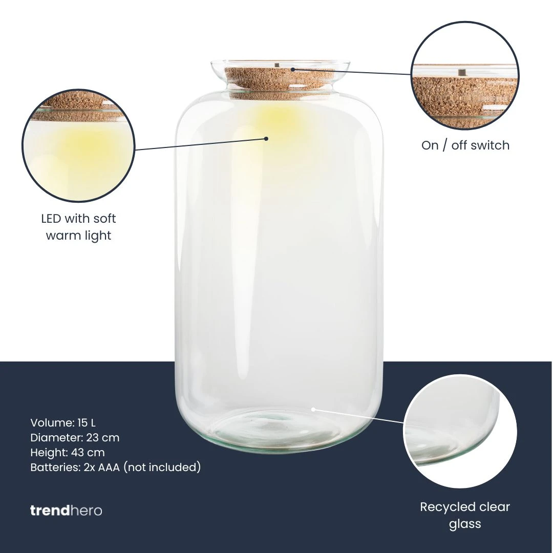 Terrarium Bottle 'Sven XL' - Incl. LED Cork - Closed Terrarium Ø 23 Cm ↑ 43 Cm 4 Terrarium Bottle 'Sven XL' - Incl. LED Cork - Closed Terrarium Ø 23 Cm ↑ 43 Cm - Image 2