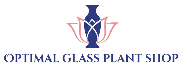 Optimal Glass Plant Shop
