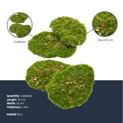 Optimal Glass Plant Shop -Optimal Glass Plant Shop artificial moss plates trendhero fc3ce589 71e7 4712 92ab 28d1681565e6