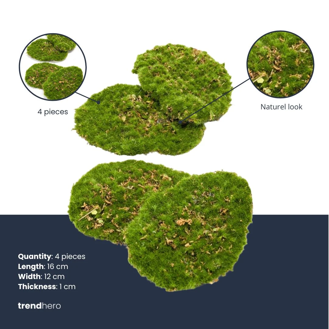 Moss Plate - Green Moss – Set Of 4 - Artificial Moss 4 Moss Plate - Green Moss – Set Of 4 - Artificial Moss - Image 2
