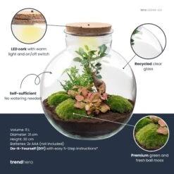 Bolder Bob Bonsai - Terrarium With Light - Bottle Garden DIY Kit - Ø 31 Cm ↑ 30 Cm 10 Bolder Bob Bonsai - Terrarium With Light - Bottle Garden DIY Kit - Ø 31 Cm ↑ 30 Cm -Optimal Glass Plant Shop bolder bob bonsai plant terrarium diy kit info trendhero