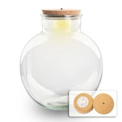Terrarium Bottle 'Bolder Bob' - Incl. (LED) Cork - Closed Terrarium Ø 30 Cm ↑ 31 Cm -Optimal Glass Plant Shop bolder bob led light terrarium flaschengarten mit lampe