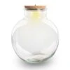 Terrarium Bottle 'Bolder Bob' - Incl. (LED) Cork - Closed Terrarium Ø 30 Cm ↑ 31 Cm -Optimal Glass Plant Shop bolder bob terrarium light 2