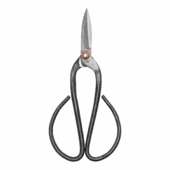 Bonsai Shears L - 19 Cm - Bonsai Tool