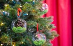 Glass Christmas Ball - Airplant And Reindeer Moss -Optimal Glass Plant Shop christmas glass ball with plant 001