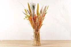 Dried Flowers - Surprise Bouquet - At The Value Of € 39,50 -Optimal Glass Plant Shop colorful nature flowers trockenblumen droogbloemen d2bf95b4 7b90 4c2e b716 541a15fb349d