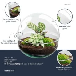 Dome - Two-part Round Glass Terrarium - Bottle Garden DIY Kit - Ø 20 Cm ↑ 20 Cm 9 Dome - Two-part Round Glass Terrarium - Bottle Garden DIY Kit - Ø 20 Cm ↑ 20 Cm -Optimal Glass Plant Shop dome plant terrarium diy kit info trendhero
