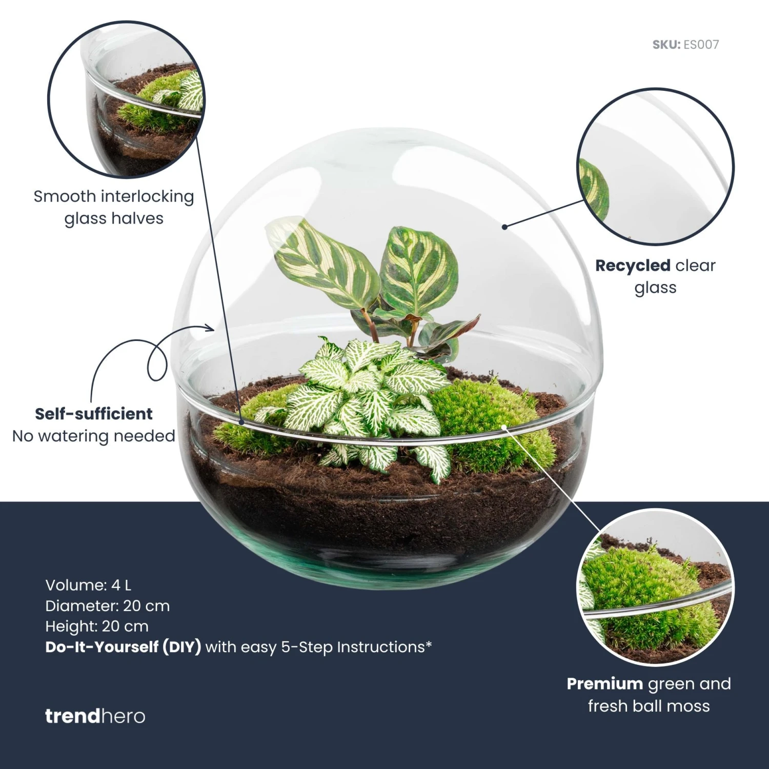 Dome - Two-part Round Glass Terrarium - Bottle Garden DIY Kit - Ø 20 Cm ↑ 20 Cm 5 Dome - Two-part Round Glass Terrarium - Bottle Garden DIY Kit - Ø 20 Cm ↑ 20 Cm - Image 3
