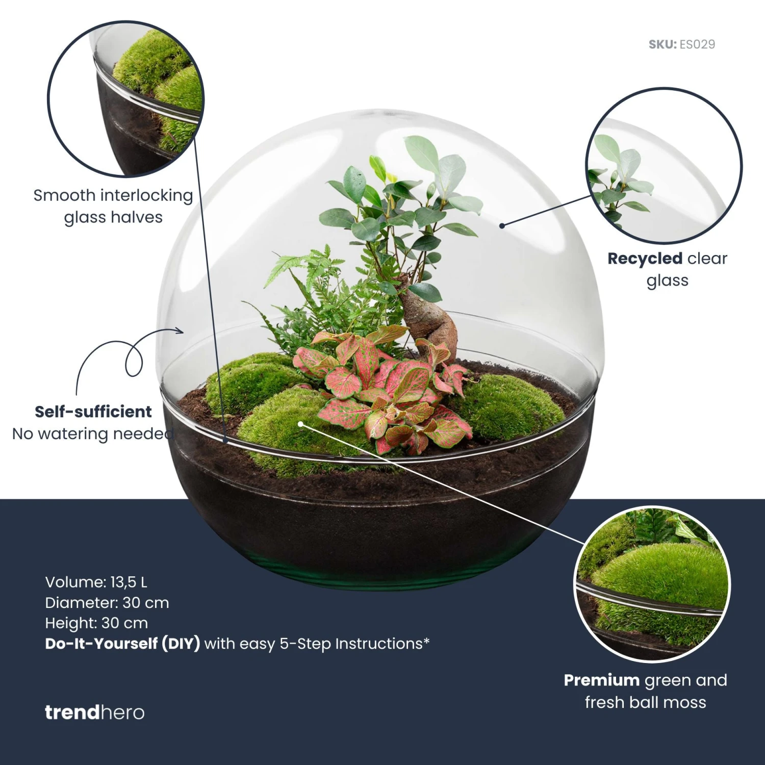 Dome XL Bonsai - Two-part Round Glass Terrarium - Bottle Garden DIY Kit - Ø 28 Cm ↑ 28 Cm 4 Dome XL Bonsai - Two-part Round Glass Terrarium - Bottle Garden DIY Kit - Ø 28 Cm ↑ 28 Cm - Image 2