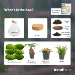 Drop XXL Bonsai - Terrarium With Cork - Bottle Garden DIY Kit - Ø 34 Cm ↑ 43 Cm -Optimal Glass Plant Shop drop xxl terrarium diy bottle garden