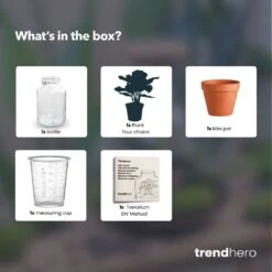 Easyplant - Fido Terrarium Jar - Bottle Garden DIY Kit - Ø 18 Cm ↑ 28 Cm 14 Easyplant - Fido Terrarium Jar - Bottle Garden DIY Kit - Ø 18 Cm ↑ 28 Cm -Optimal Glass Plant Shop easyplant choose plant terrarium diy bottle garden