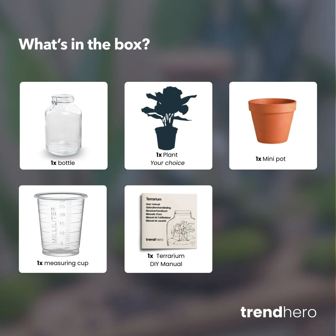 Easyplant - Fido Terrarium Jar - Bottle Garden DIY Kit - Ø 18 Cm ↑ 28 Cm 5 Easyplant - Fido Terrarium Jar - Bottle Garden DIY Kit - Ø 18 Cm ↑ 28 Cm - Image 3