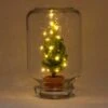 Easyplant - Mini Christmas Tree - DIY Terrarium Kit - ↑ 28 Cm 1 Easyplant - Mini Christmas Tree - DIY Terrarium Kit - ↑ 28 Cm -Optimal Glass Plant Shop easyplant verlichting kerstboom