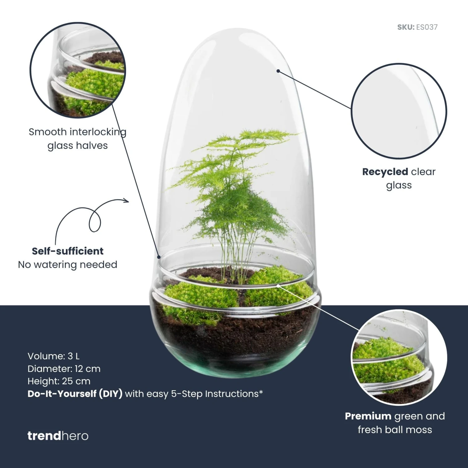 Egg - Terrarium - Two-part Glass Dome - Bottle Garden DIY Kit - Ø 12 Cm ↑ 25 Cm 9 Egg - Terrarium - Two-part Glass Dome - Bottle Garden DIY Kit - Ø 12 Cm ↑ 25 Cm - Image 7