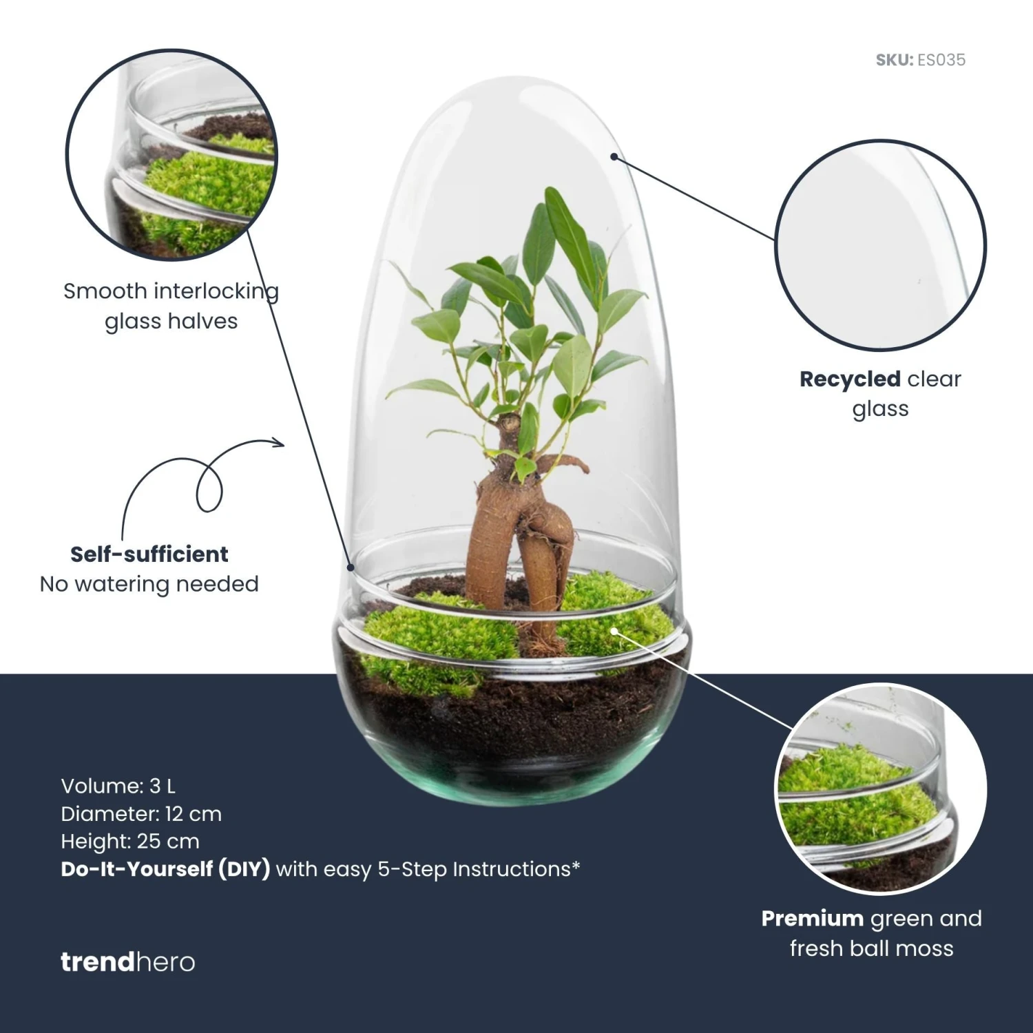 Egg - Terrarium - Two-part Glass Dome - Bottle Garden DIY Kit - Ø 12 Cm ↑ 25 Cm 5 Egg - Terrarium - Two-part Glass Dome - Bottle Garden DIY Kit - Ø 12 Cm ↑ 25 Cm - Image 3