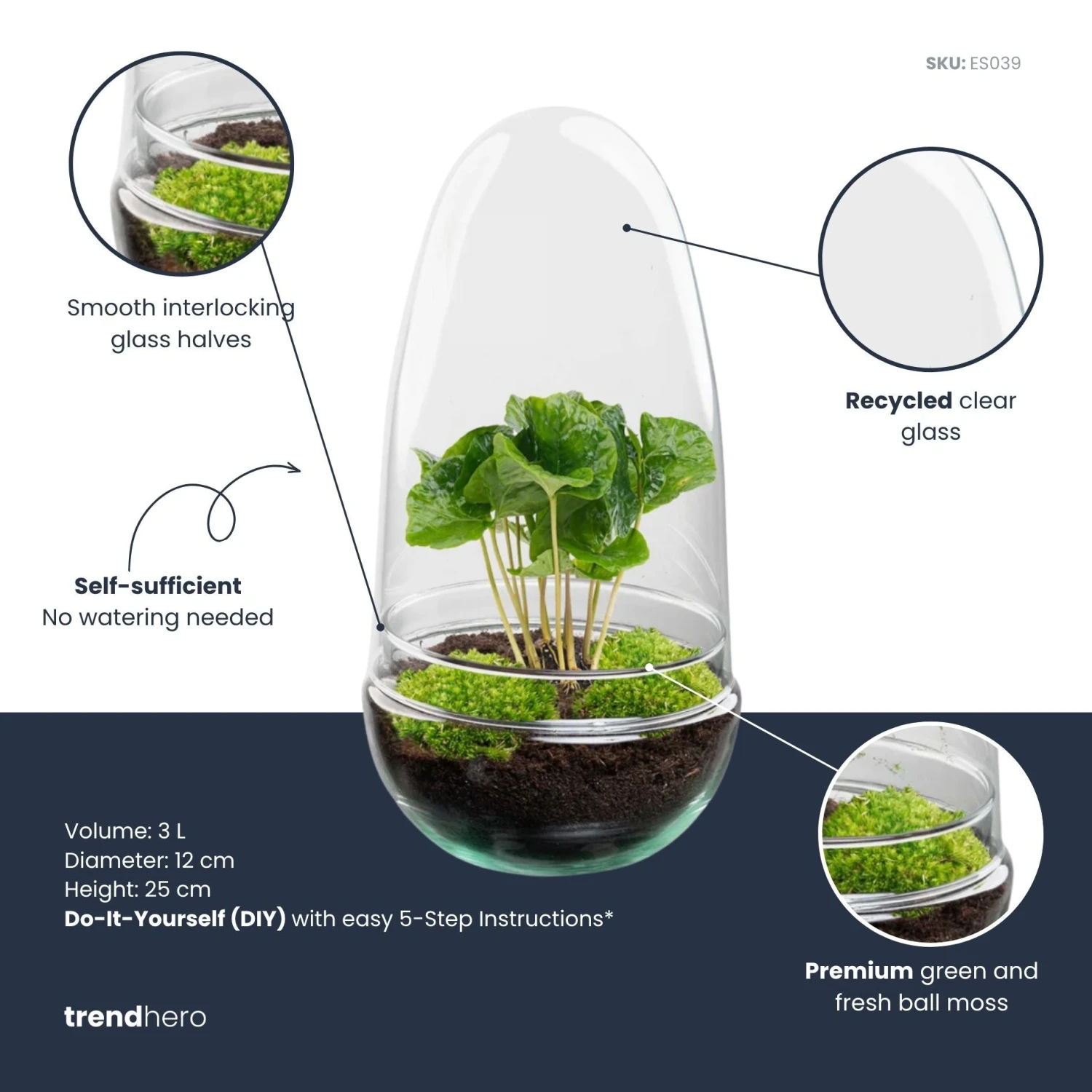 Egg - Terrarium - Two-part Glass Dome - Bottle Garden DIY Kit - Ø 12 Cm ↑ 25 Cm 7 Egg - Terrarium - Two-part Glass Dome - Bottle Garden DIY Kit - Ø 12 Cm ↑ 25 Cm - Image 5
