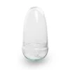 Terrarium Bottle ‘Egg’ – Two-part Glass Dome – Closed Terrarium Ø 12 Cm ↑ 25 Cm 1 Terrarium Bottle ‘Egg’ – Two-part Glass Dome – Closed Terrarium Ø 12 Cm ↑ 25 Cm -Optimal Glass Plant Shop egg terrarium no hole 94fec914 85d3 4a1f ab05 204420961b5d 1