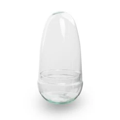 Egg - Terrarium - Two-part Glass Dome - Bottle Garden DIY Kit - Ø 12 Cm ↑ 25 Cm 25 Egg - Terrarium - Two-part Glass Dome - Bottle Garden DIY Kit - Ø 12 Cm ↑ 25 Cm -Optimal Glass Plant Shop egg terrarium no hole 94fec914 85d3 4a1f ab05 204420961b5d