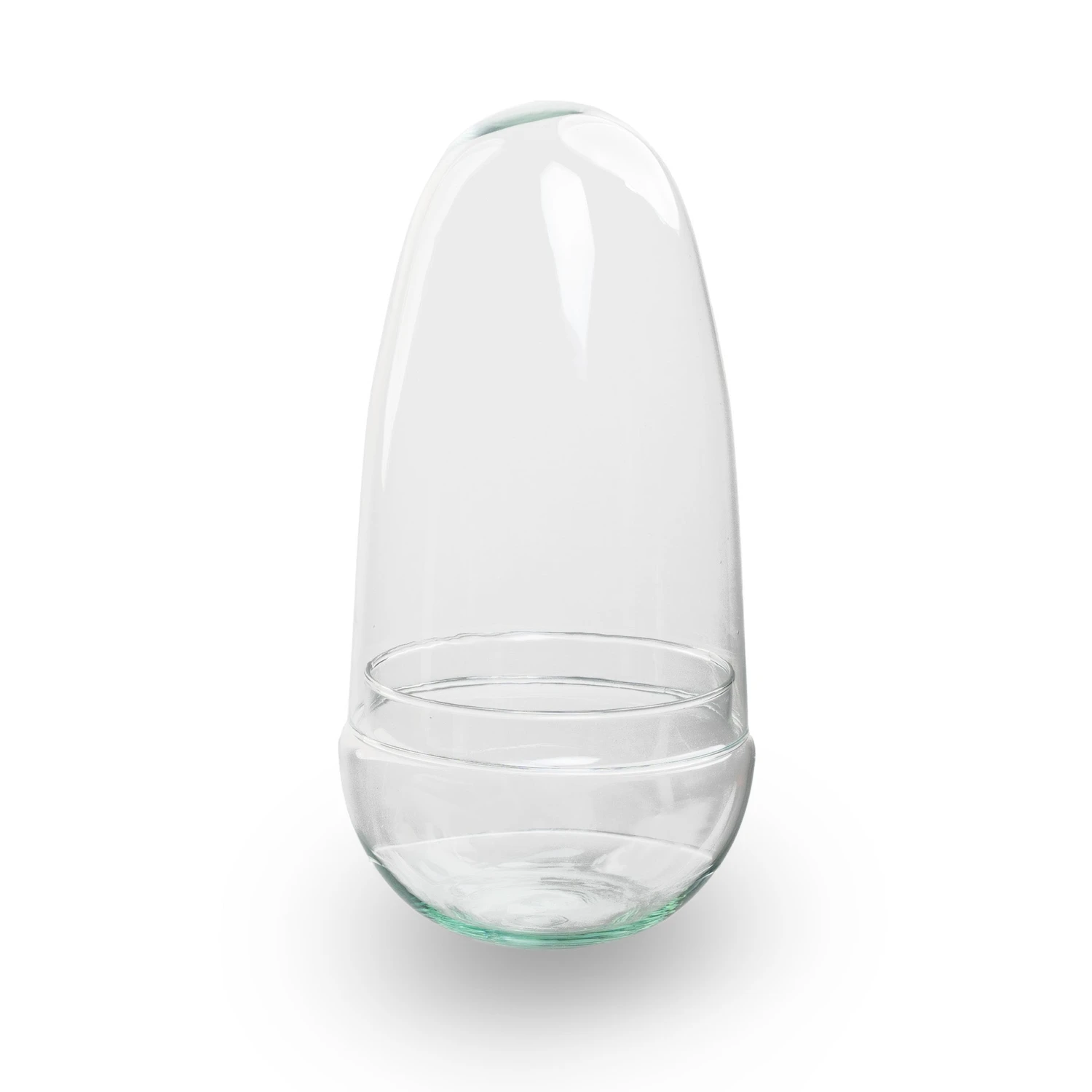 Egg - Terrarium - Two-part Glass Dome - Bottle Garden DIY Kit - Ø 12 Cm ↑ 25 Cm 14 Egg - Terrarium - Two-part Glass Dome - Bottle Garden DIY Kit - Ø 12 Cm ↑ 25 Cm - Image 12