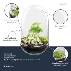 Egg XL - Terrarium - Two-part Glass Dome - Bottle Garden DIY Kit - Ø 17.5 Cm ↑ 30 Cm -Optimal Glass Plant Shop egg xl plant terrarium diy kit info trendhero