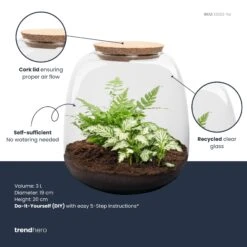 Emma Mini - Terrarium With Cork - Bottle Garden DIY Kit - Ø 19 Cm ↑ 20 Cm -Optimal Glass Plant Shop emma mini white plant terrarium diy kit info trendhero