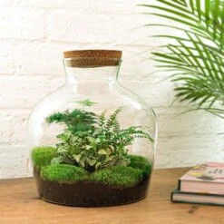Fat Joe Green - Terrarium With Light - Bottle Garden DIY Kit - Ø 29 Cm ↑ 30 Cm 10 Fat Joe Green - Terrarium With Light - Bottle Garden DIY Kit - Ø 29 Cm ↑ 30 Cm -Optimal Glass Plant Shop fat joe green terrarium met planten in fles f76dc20b be25 4a25 bc4f 414a42e46767