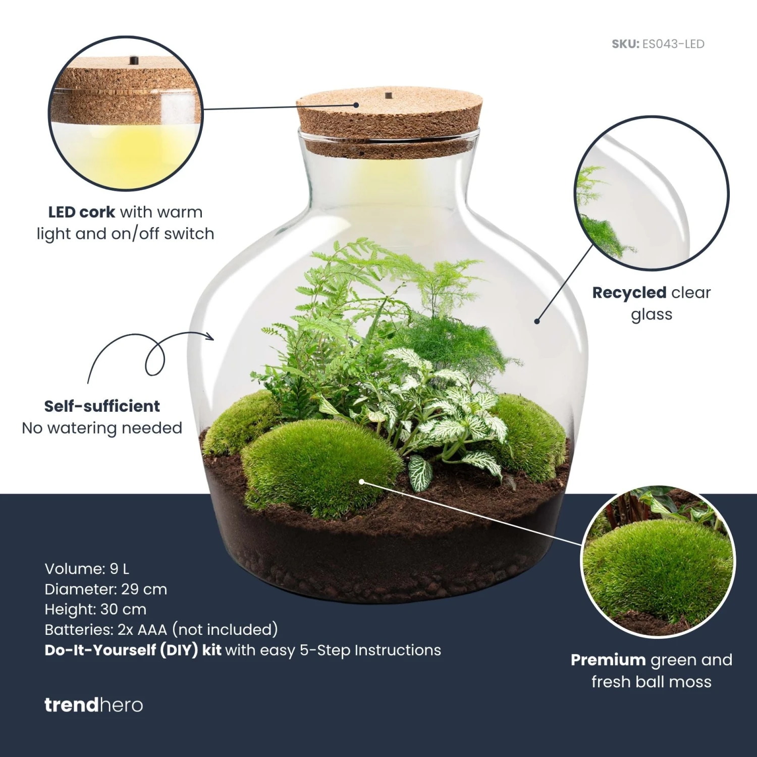 Fat Joe Green - Terrarium With Light - Bottle Garden DIY Kit - Ø 29 Cm ↑ 30 Cm 5 Fat Joe Green - Terrarium With Light - Bottle Garden DIY Kit - Ø 29 Cm ↑ 30 Cm - Image 3