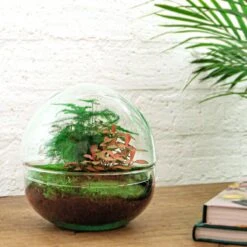 Dome Red - Two-part Round Glass Terrarium - Bottle Garden DIY Kit - Ø 20 Cm ↑ 20 Cm -Optimal Glass Plant Shop flaschengarten kit dome rot