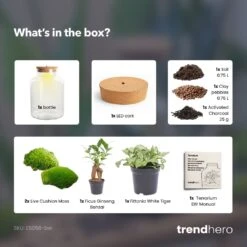 Little Milky - Terrarium With Light - Bottle Garden DIY Kit - Ø 17 Cm ↑ 25 Cm 26 Little Milky - Terrarium With Light - Bottle Garden DIY Kit - Ø 17 Cm ↑ 25 Cm -Optimal Glass Plant Shop little Milky bonsai white tiger terrarium diy bottle garden 63e9da2c 9e75 4591 bf0d ebb001b0c78f