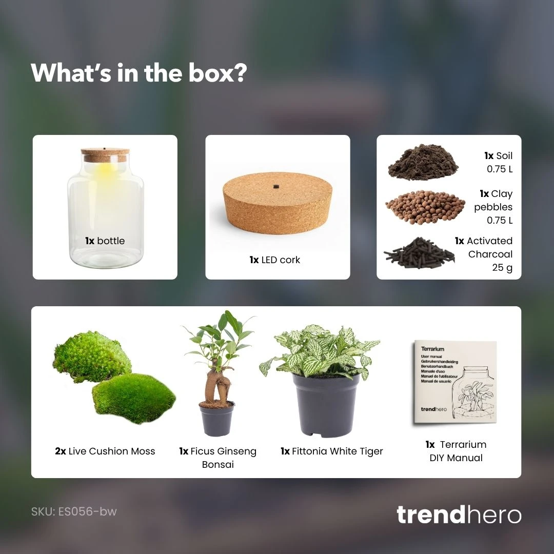 Little Milky - Terrarium With Light - Bottle Garden DIY Kit - Ø 17 Cm ↑ 25 Cm 14 Little Milky - Terrarium With Light - Bottle Garden DIY Kit - Ø 17 Cm ↑ 25 Cm - Image 12