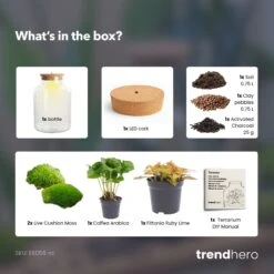 Little Milky - Terrarium With Light - Bottle Garden DIY Kit - Ø 17 Cm ↑ 25 Cm 22 Little Milky - Terrarium With Light - Bottle Garden DIY Kit - Ø 17 Cm ↑ 25 Cm -Optimal Glass Plant Shop little Milky coffea ruby lime terrarium diy bottle garden