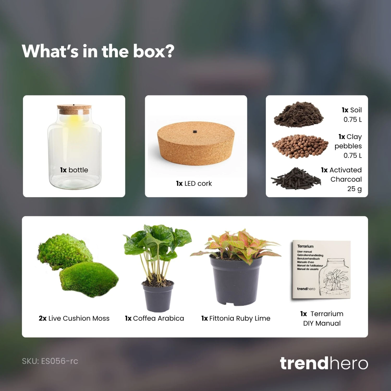 Little Milky - Terrarium With Light - Bottle Garden DIY Kit - Ø 17 Cm ↑ 25 Cm 10 Little Milky - Terrarium With Light - Bottle Garden DIY Kit - Ø 17 Cm ↑ 25 Cm - Image 8