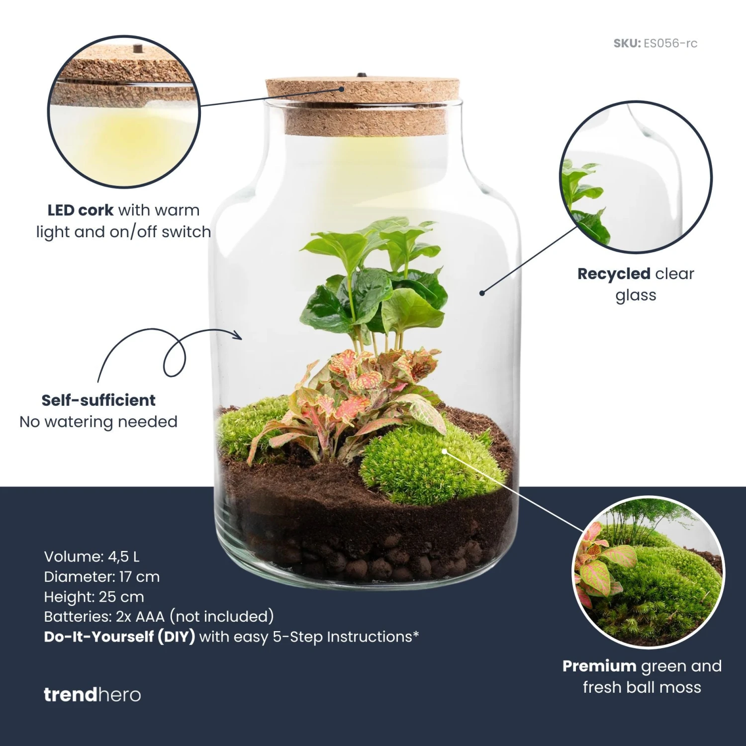 Little Milky - Terrarium With Light - Bottle Garden DIY Kit - Ø 17 Cm ↑ 25 Cm 9 Little Milky - Terrarium With Light - Bottle Garden DIY Kit - Ø 17 Cm ↑ 25 Cm - Image 7