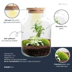 Little Milky - Terrarium With Light - Bottle Garden DIY Kit - Ø 17 Cm ↑ 25 Cm 17 Little Milky - Terrarium With Light - Bottle Garden DIY Kit - Ø 17 Cm ↑ 25 Cm -Optimal Glass Plant Shop little milky white bonsai plant terrarium diy kit info trendhero