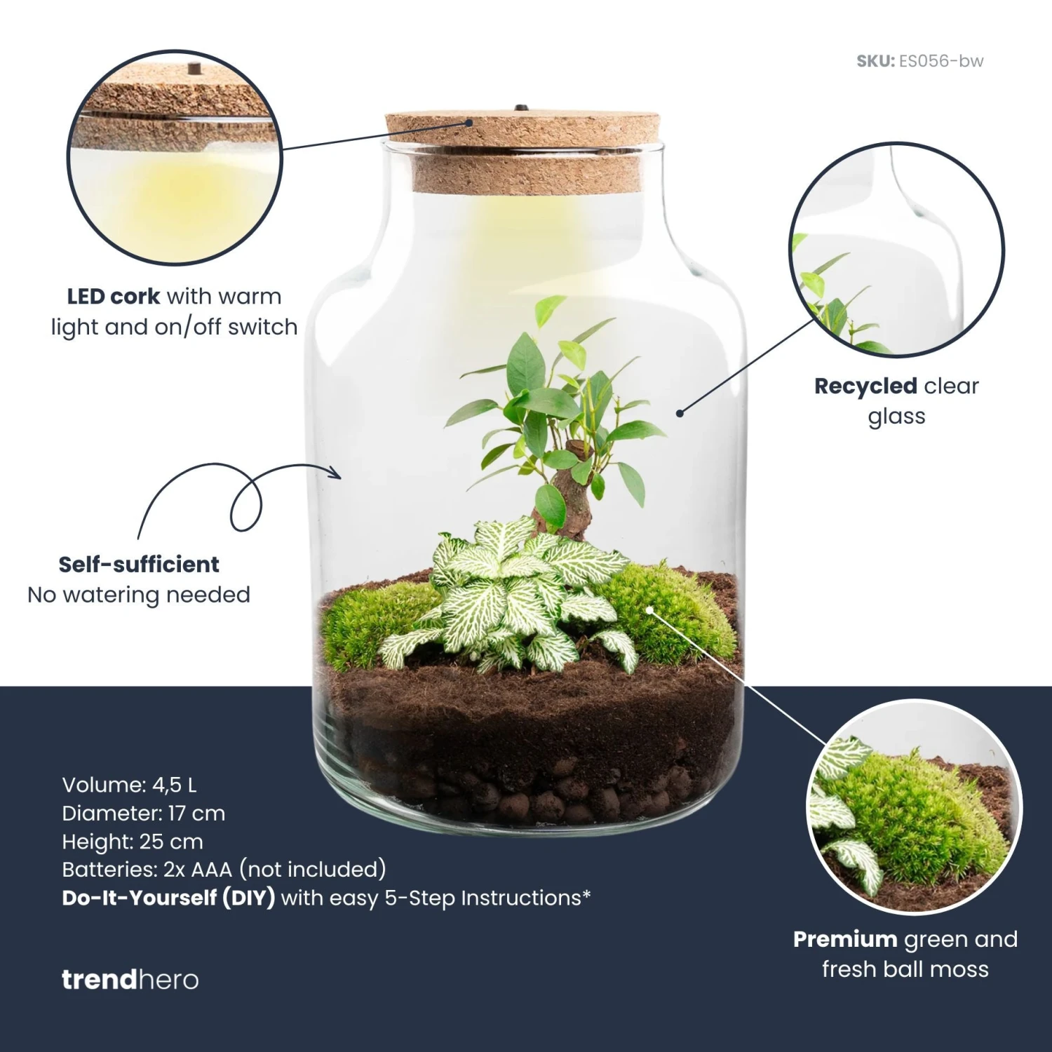 Little Milky - Terrarium With Light - Bottle Garden DIY Kit - Ø 17 Cm ↑ 25 Cm 5 Little Milky - Terrarium With Light - Bottle Garden DIY Kit - Ø 17 Cm ↑ 25 Cm - Image 3