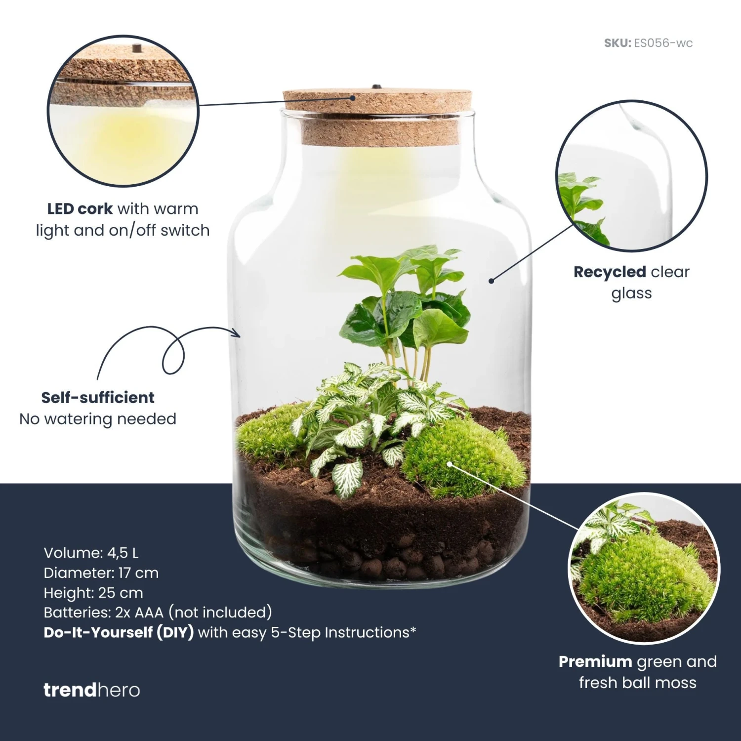 Little Milky - Terrarium With Light - Bottle Garden DIY Kit - Ø 17 Cm ↑ 25 Cm 13 Little Milky - Terrarium With Light - Bottle Garden DIY Kit - Ø 17 Cm ↑ 25 Cm - Image 11