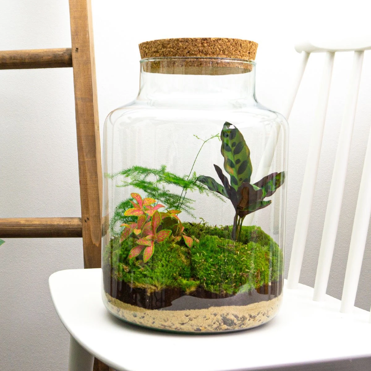Milky - Terrarium - Bottle Garden DIY Kit - Ø 21 Cm ↑ 30 Cm 4 Milky - Terrarium - Bottle Garden DIY Kit - Ø 21 Cm ↑ 30 Cm - Image 2