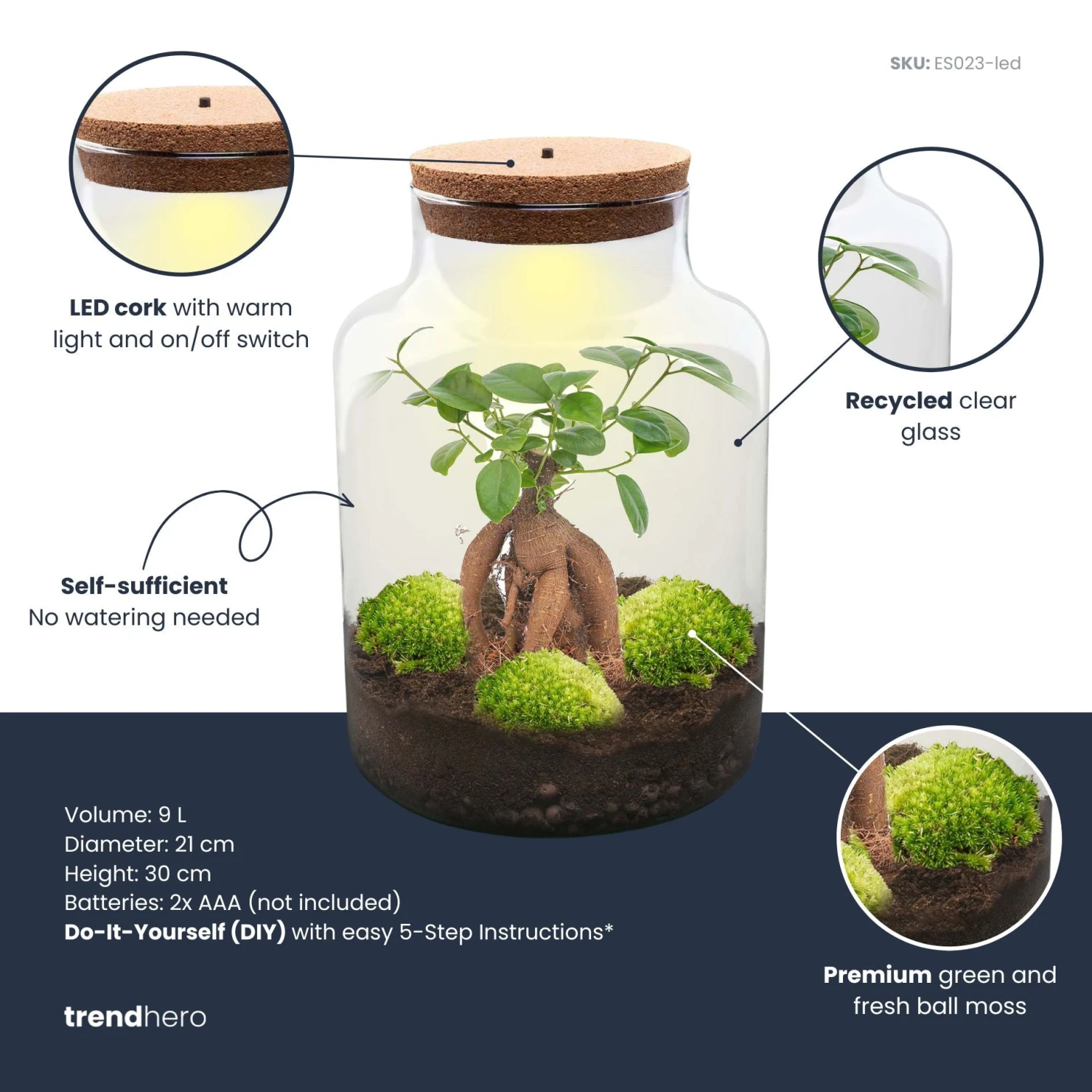 Milky Bonsai - Terrarium - Bottle Garden DIY Kit - Ø 21 Cm ↑ 30 Cm 5 Milky Bonsai - Terrarium - Bottle Garden DIY Kit - Ø 21 Cm ↑ 30 Cm - Image 3
