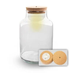 Terrarium Bottle 'Milky' With LED-lighting - Closed Terrarium Ø 21 Cm ↑ 30 Cm 10 Terrarium Bottle 'Milky' With LED-lighting - Closed Terrarium Ø 21 Cm ↑ 30 Cm -Optimal Glass Plant Shop milky met led verlichting terrarium fles 1