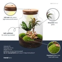 Milky Palm - Terrarium - Bottle Garden DIY Kit - Ø 21 Cm ↑ 30 Cm 9 Milky Palm - Terrarium - Bottle Garden DIY Kit - Ø 21 Cm ↑ 30 Cm -Optimal Glass Plant Shop milky palm plant terrarium diy kit info trendhero